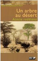   Un arbre au désert