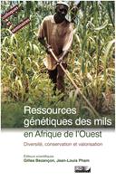 Ressources génétiques des mils en Afrique de l’Ouest
