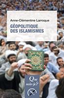   G&eacute;opolitique des islamismes
