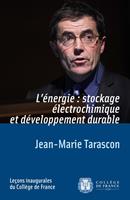 L’énergie : stockage électrochimique et développement durable