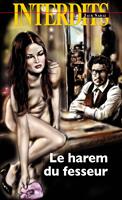  Le harem du fesseur