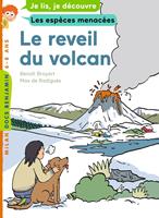   Le r&eacute;veil du volcan