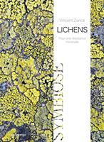   Lichens