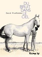   Du bruit dans le ciel