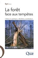   La for&ecirc;t face aux temp&ecirc;tes