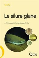   Le silure glane