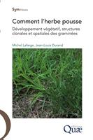   Comment l'herbe pousse