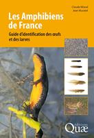   Les Amphibiens de France