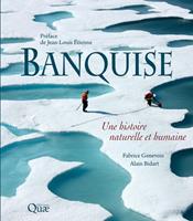   Banquise