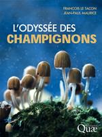   L'odyssée des champignons