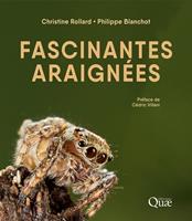   Fascinantes araignées