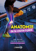  Anatomie de la course à pied