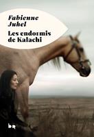   Les Endormis de Kalachi