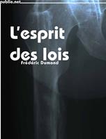   L&rsquo;Esprit des lois