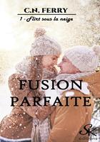   Fusion parfaite 1