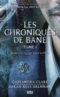 The Mortal Instruments - Les Chroniques de Bane tome 1 : Ce qui s'est VRAIMENT passé au Pérou