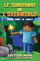 Le survivant de l'Overworld T1