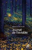   Journal de l'invisible
