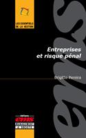   Entreprises et risque pénal