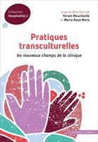   Pratiques transculturelles