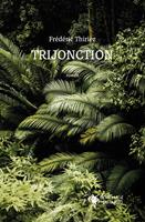   Trijonction