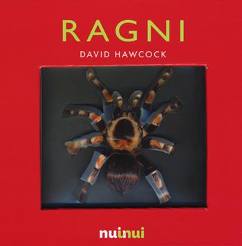 Ragni. Libro pop-up. Ediz. illustrata - David Hawcock - Libro Nuinui 2015 | Libraccio.it