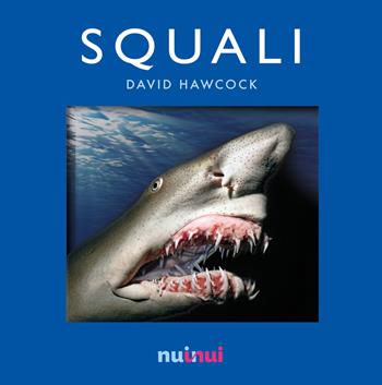Squali. Libro pop-up - David Hawcock - Libro Nuinui 2016 | Libraccio.it