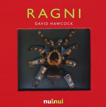 Ragni. Libro pop-up. Ediz. a colori - David Hawcock - Libro Nuinui 2017 | Libraccio.it