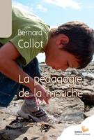   La pédagogie de la mouche