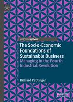   The Socio-Economic Foundations of Sustainable Business