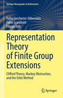   Representation Theory of Finite Group Extensions