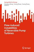   Flow-Induced Instabilities of Reversible Pump Turbines
