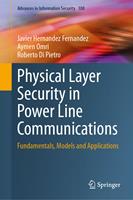   Physical Layer Security in Power Line Communications