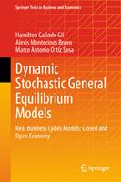   Dynamic Stochastic General Equilibrium Models