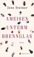   Ameisen unterm Brennglas