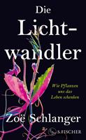   Die Lichtwandler