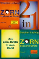 Lodernder Hass / Blut und Strafe – Zwei Zorn-Thriller in einem Band