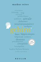   Gehirn. 100 Seiten