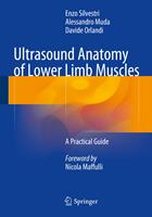   Ultrasound Anatomy of Lower Limb Muscles