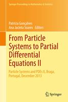   From Particle Systems to Partial Differential Equations II