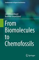   From Biomolecules to Chemofossils