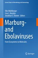   Marburg- and Ebolaviruses
