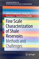   Fine Scale Characterization of Shale Reservoirs