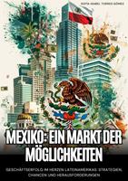   Mexiko: Ein Markt der Möglichkeiten