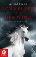   Schneller als der Wind