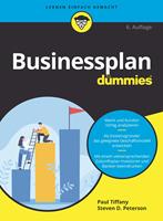   Businessplan für Dummies