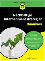 Nachhaltige Unternehmensstrategien für Dummies