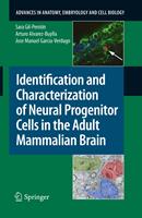   Identification and Characterization of Neural Progenitor Cells in the Adult Mammalian Brain