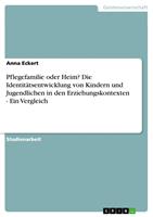   Pflegefamilie oder Heim? Die Identit&auml;tsentwicklung von Kindern und Jugendlichen in den Erziehungskontexten - Ein Vergleich