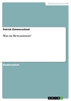   Was ist Bewusstsein?